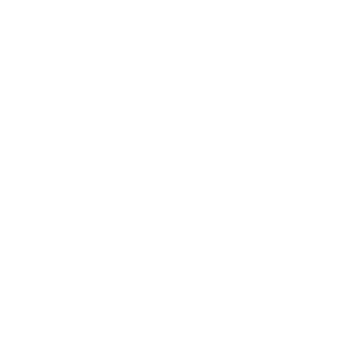 The Trident Store